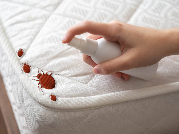Best Local Pest Control Services  in Selma, AL