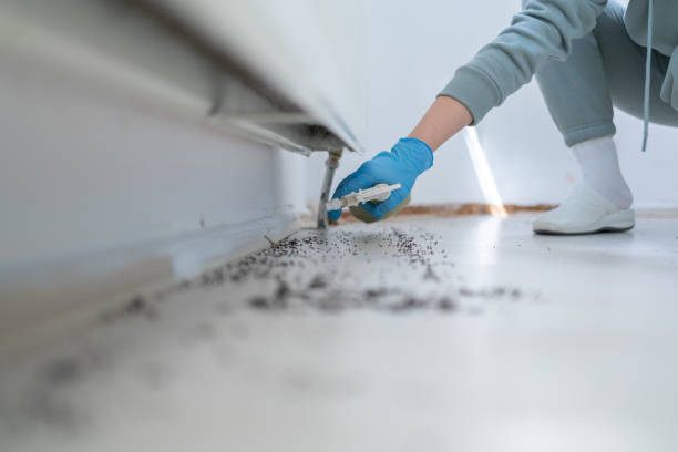 Pest Prevention Services in Selma, AL