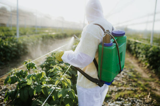 Best Wasp Removal Services  in Selma, AL